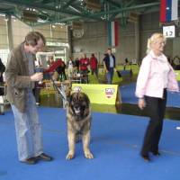 Salzburg Clubschau Mai 06 043 